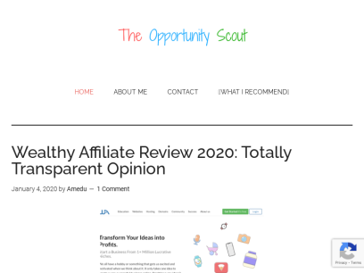 theopportunityscout.com.png