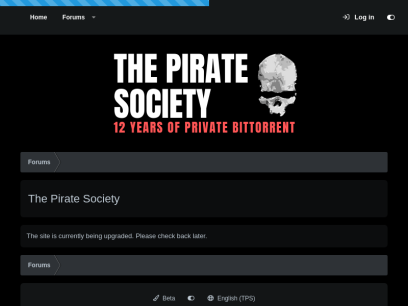 thepiratesociety.org.png