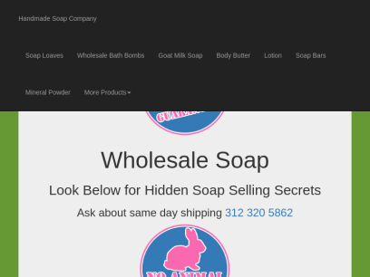 thesoapguy.com.png