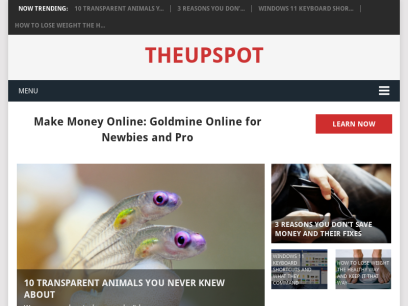 theupspot.com.png