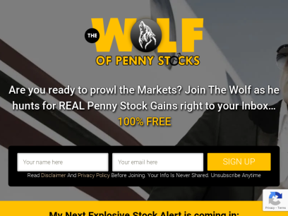 thewolfofpennystocks.com.png