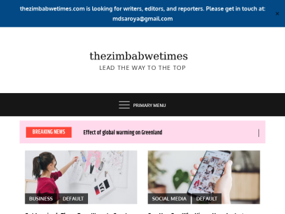 thezimbabwetimes.com.png