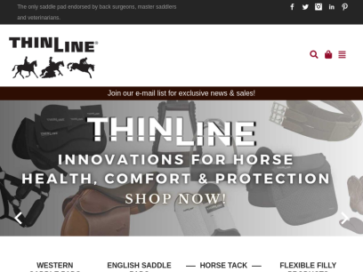 thinlineglobal.com.png