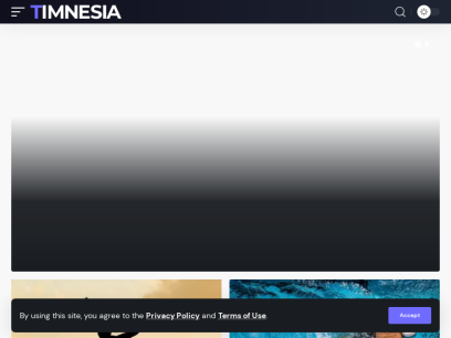 timnesia.com.png