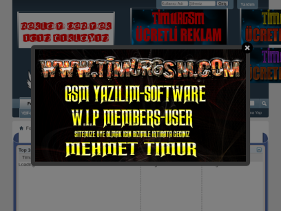 timurgsm.com.png