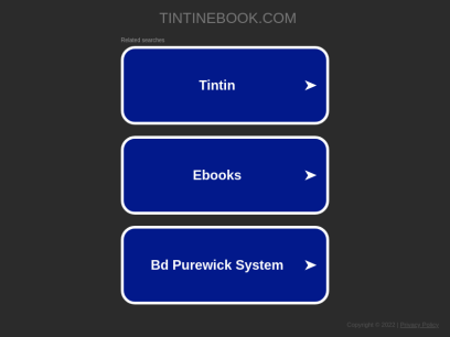 tintinebook.com.png