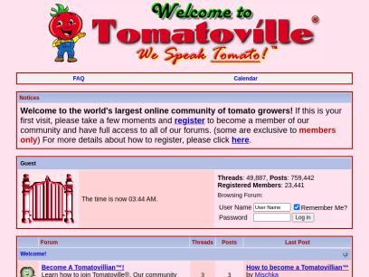 tomatoville.com.png