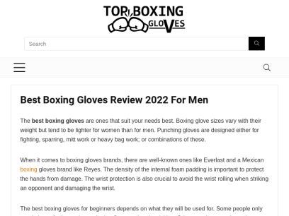 top-boxing-gloves.com.png
