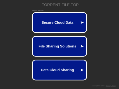 torrent-file.top.png