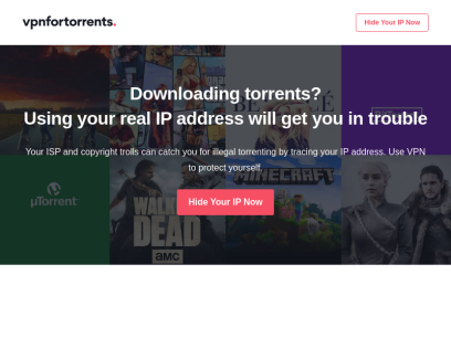torrent-protection.com.png