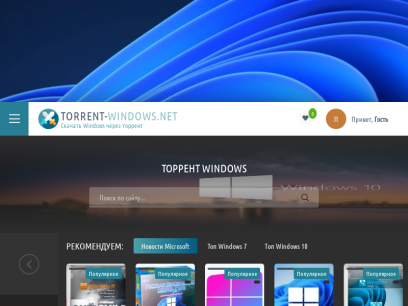 torrent-windows.net.png