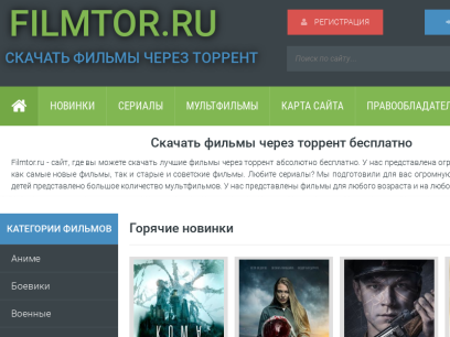 torrent30.ru.png