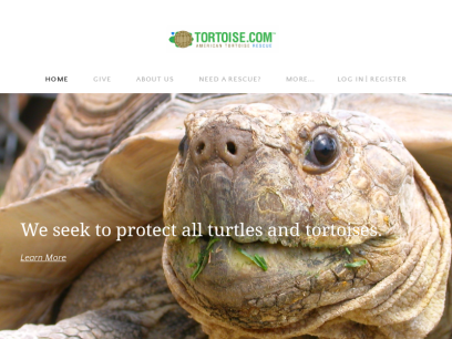 tortoise.com.png
