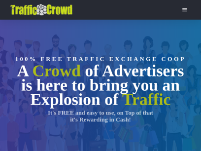 trafficcrowd.com.png