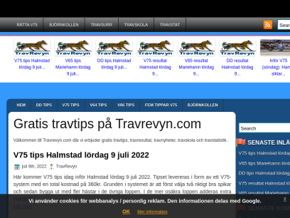 travrevyn.com.png