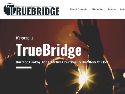 truebridge.org.png