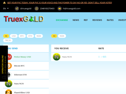 Nigeria&#039;s No.1 Crypto Currency Auto Exchanger | Buy, Sell or Exchange Bitcoin, Perfect Money, Payeer, Advcash etc - TruexGOLD