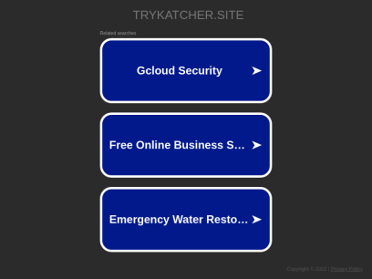 trykatcher.site.png