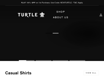 turtleonline.in.png
