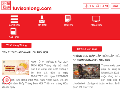 tuvisonlong.com.png
