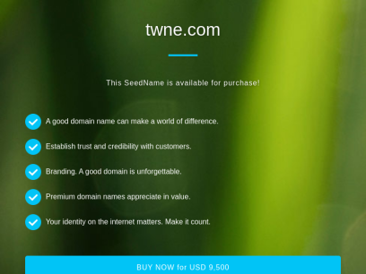 twne.com.png