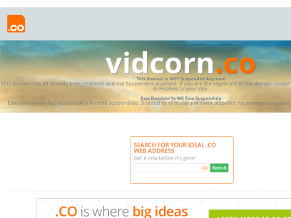 vidcorn.co.png