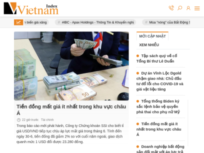 vietnamindex.vn.png
