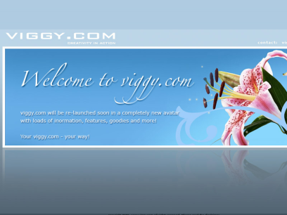 viggy.com.png