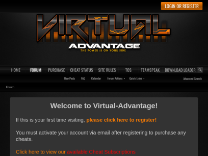 virtual-advantage.com.png