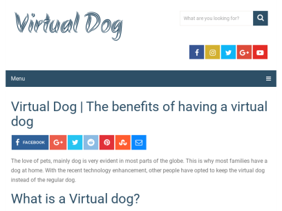 virtualdog.com.png