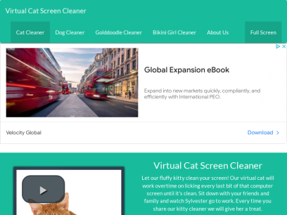 virtualscreencleaners.com.png