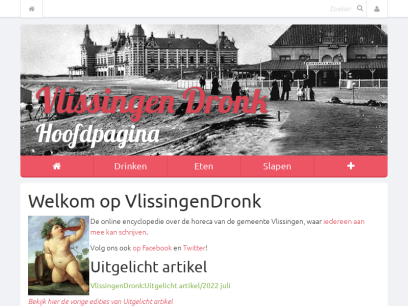 vlissingendronk.nl.png