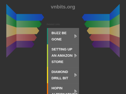 vnbits.org.png