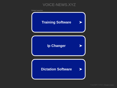 voice-news.xyz.png