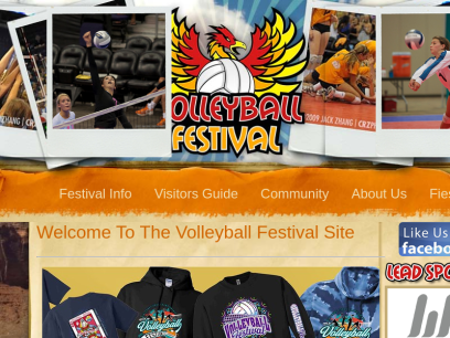 volleyball-festival.com.png