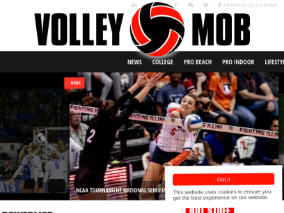 volleymob.com.png