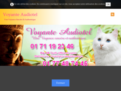 voyante-audiotel.com.png