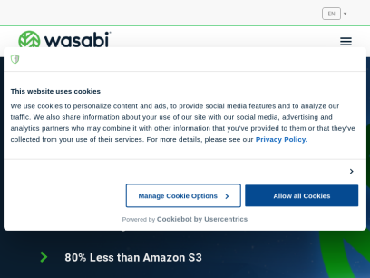 wasabi.com.png