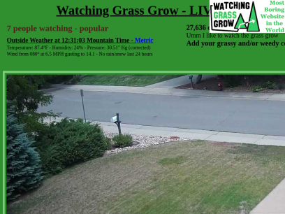 watching-grass-grow.com.png