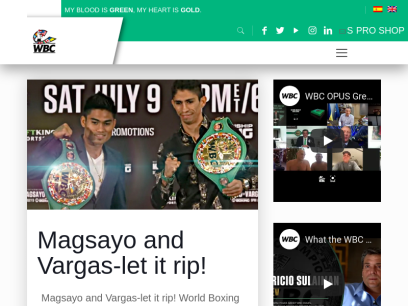 wbcboxing.com.png