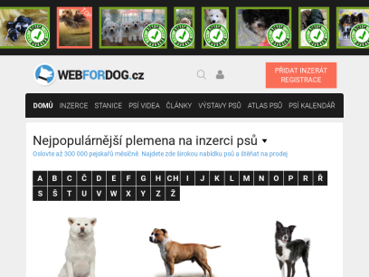 webfordog.cz.png