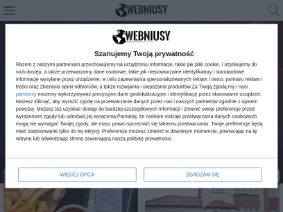 webniusy.com.png