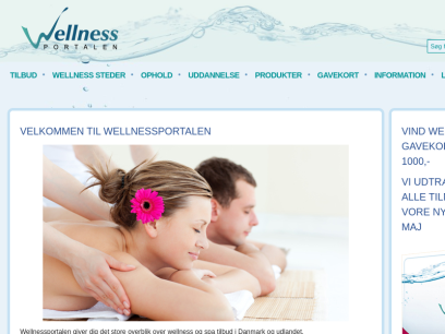 wellnessportalen.dk.png