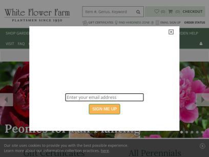 whiteflowerfarm.com.png