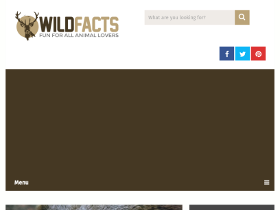 wild-facts.com.png
