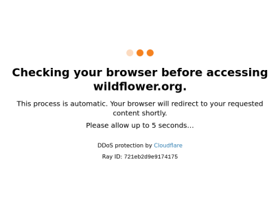 wildflower.org.png