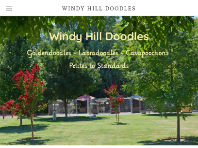 windyhilldoodles.com.png