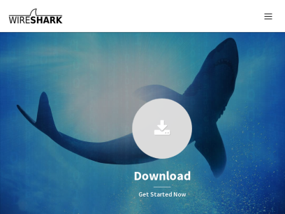 wireshark.org.png