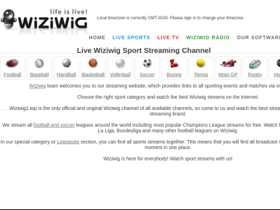 wiziwig1.top.png