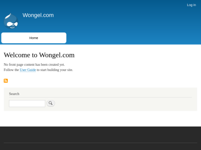 wongel.com.png